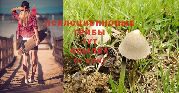 гашик Краснотурьинск