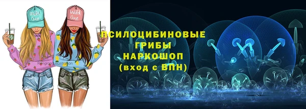 бошки Краснослободск