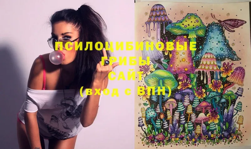 Псилоцибиновые грибы Magic Shrooms  Каневская 