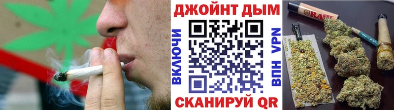 даркнет Telegram мега как зайти Каневская Бошки Шишки White Widow